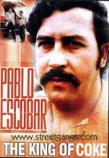 Pablo Escobar El terror de Colombia online gratis Español latino pelicula completa