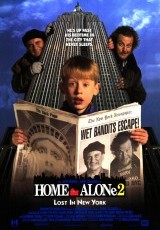 Solo en casa 2: perdido en Nueva York online (1992) Español latino descargar pelicula completa