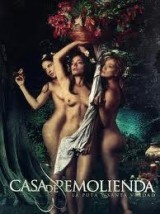 Casa de remolienda online (2007) Español latino descargar pelicula completa