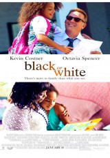 Black or White online (2014) Español latino descargar pelicula completa