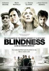 Blindness online (2008) Español latino descargar pelicula completa