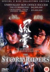 The Storm Riders online (1998) Español latino descargar pelicula completa