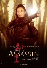 The Assassin online (2015) Español latino descargar pelicula completa