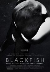 Blackfish online (2013) Español latino descargar pelicula completa