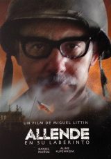 Allende en su laberinto online (2014) Español latino descargar pelicula completa