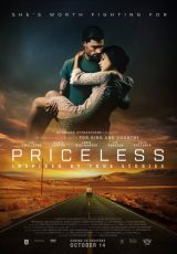 Priceless online (2016) Español latino descargar pelicula completa