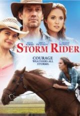Storm Rider online (2013) Español latino descargar pelicula completa