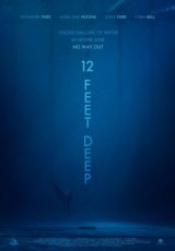 12 Feet Deep online (2016) Español latino descargar pelicula completa