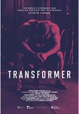 Transformer online (2017) Español latino descargar pelicula completa
